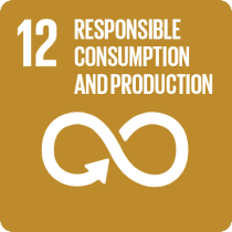 Responsible Consumption & Production image